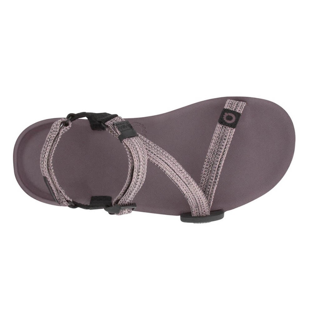 Sandalias barefoot Xero Shoes Z-Trail EV Lila